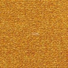 Radici Trotter Mostarda 2412 фото 1 | FLOORDEALER